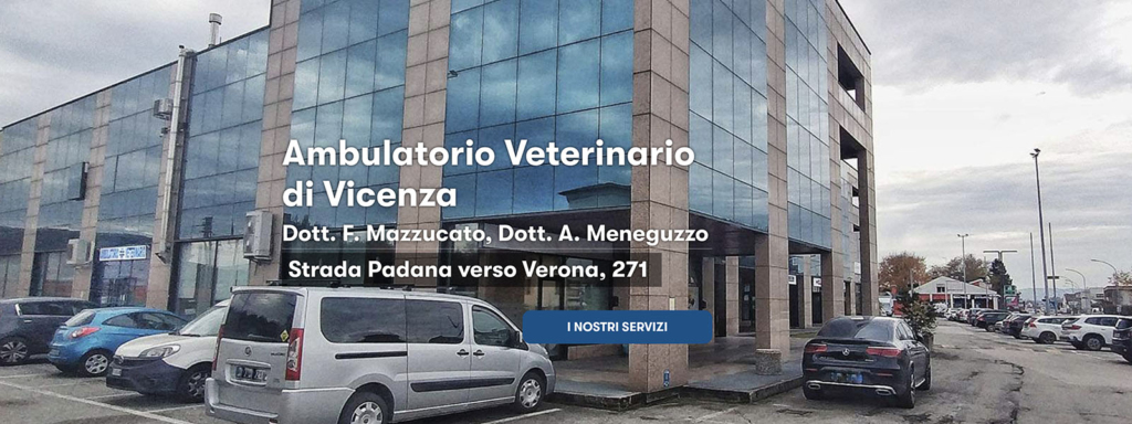 Sito Web Veterinario Vicenza