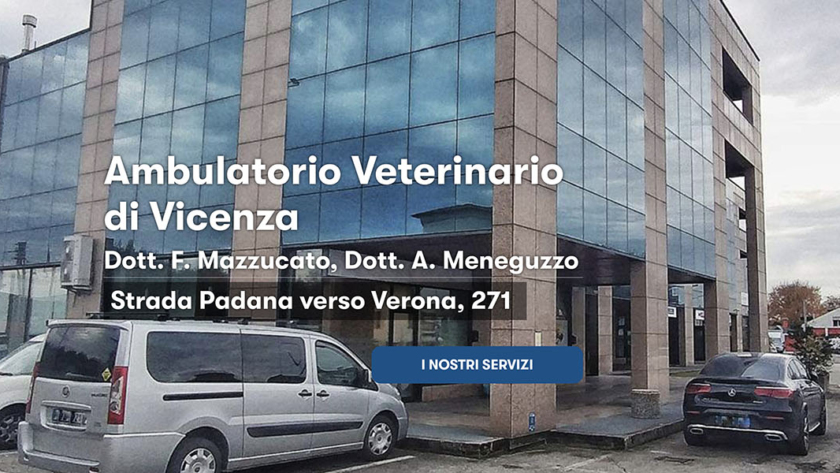 Sito Web Veterinario Vicenza